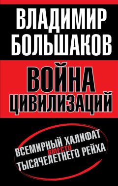Владимир Большаков - Война цивилизаций. Всемирный халифат вместо тысячелетнего рейха - Читать 📖 Читать онлайн 👀 Читаемые книги читать онлайн бесплатно 🔥 booksread-online.com