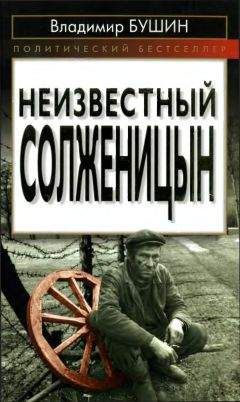 Владимир Бушин - Неизвестный Солженицын - Читать | Читать онлайн | Читаемые книги читать онлайн бесплатно | booksread-online.com