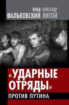 Илья Фальковский - Гражданская война уже началась - Читать 📖 Читать онлайн 👀 Читаемые книги читать онлайн бесплатно 🔥 booksread-online.com