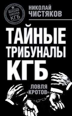 Николай Чистяков - Тайные трибуналы КГБ. Ловля «кротов» - Читать 📖 Читать онлайн 👀 Читаемые книги читать онлайн бесплатно 🔥 booksread-online.com