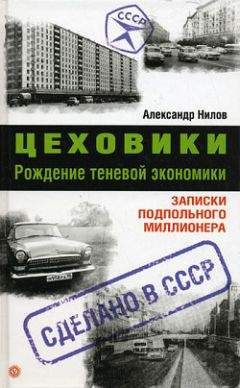 Александр Нилов - Цеховики. Рождение теневой экономики. Записки подпольного миллионера - Читать | Читать онлайн | Читаемые книги читать онлайн бесплатно | booksread-online.com
