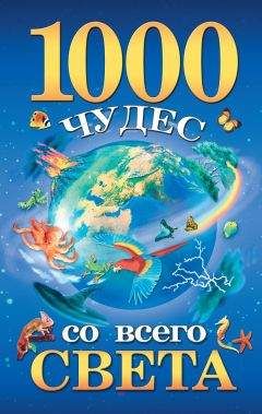 Елена Гурнакова - 1000 чудес со всего света - Читать 📖 Читать онлайн 👀 Читаемые книги читать онлайн бесплатно 🔥 booksread-online.com