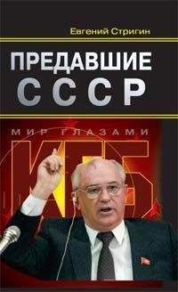 Евгений Стригин - Предавшие СССР - Читать 📖 Читать онлайн 👀 Читаемые книги читать онлайн бесплатно 🔥 booksread-online.com