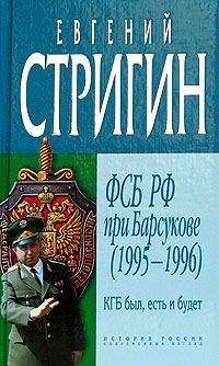 Евгений Стригин - КГБ был, есть и будет. ФСБ РФ при Барсукове (1995-1996) - Читать 📖 Читать онлайн 👀 Читаемые книги читать онлайн бесплатно 🔥 booksread-online.com