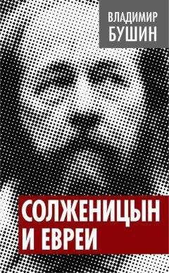 Владимир Бушин - Солженицын и евреи - Читать | Читать онлайн | Читаемые книги читать онлайн бесплатно | booksread-online.com