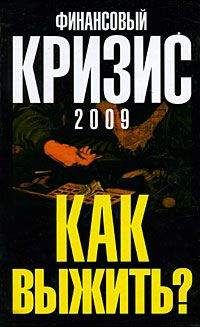 Александр Попов - Финансовый кризис 2009. Как выжить - Читать 📖 Читать онлайн 👀 Читаемые книги читать онлайн бесплатно 🔥 booksread-online.com