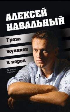 Константин Воронков - Алексей Навальный. Гроза жуликов и воров - Читать | Читать онлайн | Читаемые книги читать онлайн бесплатно | booksread-online.com