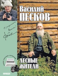Василий Песков - Полное собрание сочинений. Том 23. Лесные жители - Читать 📖 Читать онлайн 👀 Читаемые книги читать онлайн бесплатно 🔥 booksread-online.com