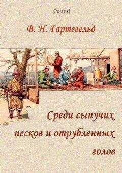 Вильгельм Гартевельд - Среди сыпучих песков и отрубленных голов - Читать Читать онлайн Читаемые книги читать онлайн бесплатно booksread-online.com