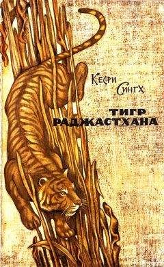 Кесри Сингх - Тигр Раджастхана - Читать Читать онлайн Читаемые книги читать онлайн бесплатно booksread-online.com