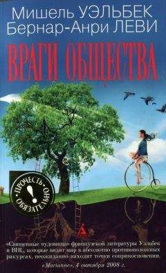 Мишель Уэльбек - Враги общества - Читать 📖 Читать онлайн 👀 Читаемые книги читать онлайн бесплатно 🔥 booksread-online.com