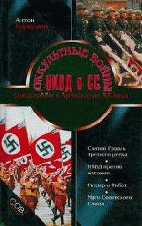 Антон Первушин - Оккультные войны НКВД и СС - Читать 📖 Читать онлайн 👀 Читаемые книги читать онлайн бесплатно 🔥 booksread-online.com