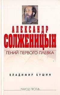 Владимир Бушин - Александр Солженицын. Гений первого плевка - Читать 📖 Читать онлайн 👀 Читаемые книги читать онлайн бесплатно 🔥 booksread-online.com