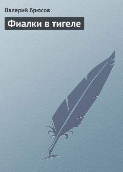 Валерий Брюсов - Фиалки в тигеле - Читать 📖 Читать онлайн 👀 Читаемые книги читать онлайн бесплатно 🔥 booksread-online.com