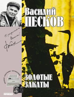 Василий Песков - Полное собрание сочинений. Том 20. Золотые закаты - Читать 📖 Читать онлайн 👀 Читаемые книги читать онлайн бесплатно 🔥 booksread-online.com