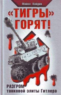 Мартин Кэйдин - «Тигры» горят! - Читать 📖 Читать онлайн 👀 Читаемые книги читать онлайн бесплатно 🔥 booksread-online.com