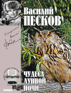 Василий Песков - Полное собрание сочинений. Том 15. Чудеса лунной ночи - Читать 📖 Читать онлайн 👀 Читаемые книги читать онлайн бесплатно 🔥 booksread-online.com