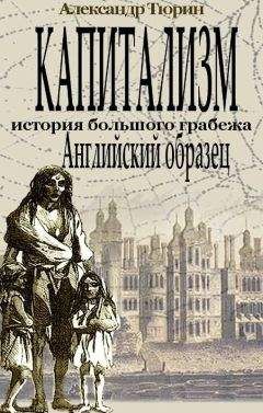 Александр Тюрин - Капитализм – история большого грабежа. Английский образец - Читать | Читать онлайн | Читаемые книги читать онлайн бесплатно | booksread-online.com