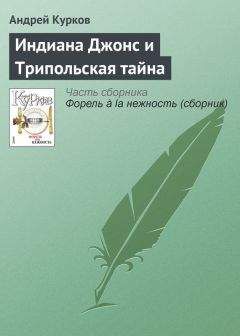 Андрей Курков - Индиана Джонс и Трипольская тайна - Читать 📖 Читать онлайн 👀 Читаемые книги читать онлайн бесплатно 🔥 booksread-online.com