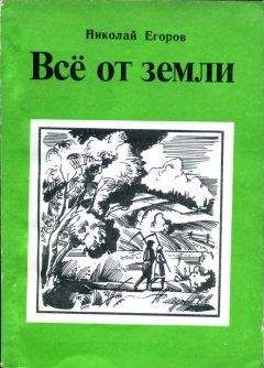 Николай Егоров - Всё от земли - Читать 📖 Читать онлайн 👀 Читаемые книги читать онлайн бесплатно 🔥 booksread-online.com