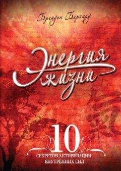 Брендон Берчард - Энергия жизни. 10 секретов активизации внутренних сил - Читать 📖 Читать онлайн 👀 Читаемые книги читать онлайн бесплатно 🔥 booksread-online.com