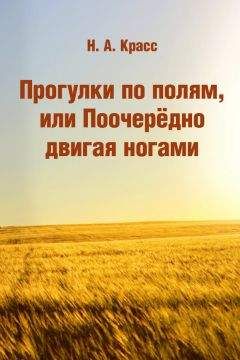 Наталья Красс - Прогулки по полям, или Поочерёдно двигая ногами - Читать 📖 Читать онлайн 👀 Читаемые книги читать онлайн бесплатно 🔥 booksread-online.com