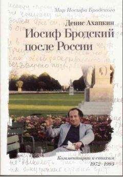 Денис Ахапкин - Иосиф Бродский после России - Читать 📖 Читать онлайн 👀 Читаемые книги читать онлайн бесплатно 🔥 booksread-online.com