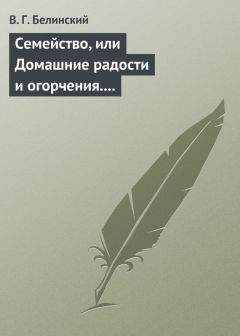 Виссарион Белинский - Семейство, или Домашние радости и огорчения. Роман шведской писательницы Фредерики Бремер… - Читать 📖 Читать онлайн 👀 Читаемые книги читать онлайн бесплатно 🔥 booksread-online.com