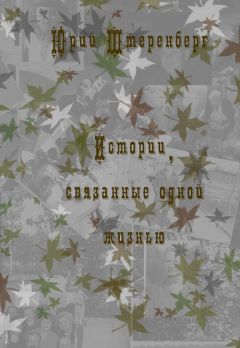 Юрий Штеренберг - Истории, связанные одной жизнью - Читать 📖 Читать онлайн 👀 Читаемые книги читать онлайн бесплатно 🔥 booksread-online.com