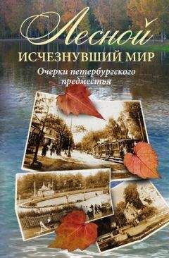 Коллектив авторов - Лесной: исчезнувший мир. Очерки петербургского предместья - Читать 📖 Читать онлайн 👀 Читаемые книги читать онлайн бесплатно 🔥 booksread-online.com