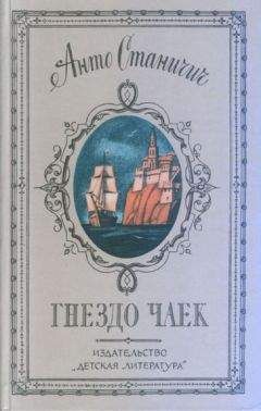 Анто Станичич - Гнездо чаек - Читать 📖 Читать онлайн 👀 Читаемые книги читать онлайн бесплатно 🔥 booksread-online.com