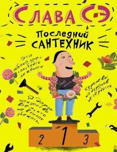 Слава Сэ - Последний сантехник - Читать 📖 Читать онлайн 👀 Читаемые книги читать онлайн бесплатно 🔥 booksread-online.com