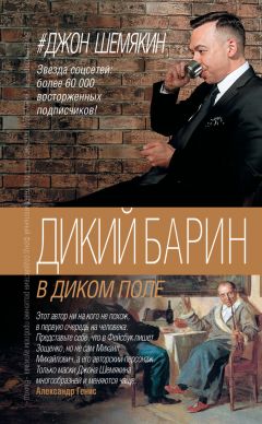Джон Шемякин - Дикий барин в диком поле (сборник) - Читать 📖 Читать онлайн 👀 Читаемые книги читать онлайн бесплатно 🔥 booksread-online.com