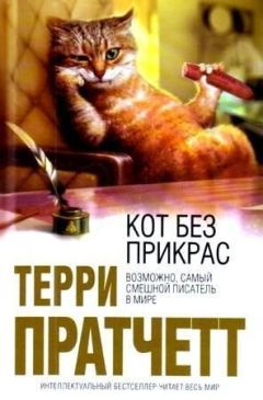 Терри Пратчетт - Кот без прикрас - Читать 📖 Читать онлайн 👀 Читаемые книги читать онлайн бесплатно 🔥 booksread-online.com
