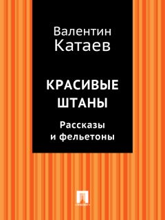 Валентин Катаев - Красивые штаны. Рассказы и фельетоны (сборник) - Читать 📖 Читать онлайн 👀 Читаемые книги читать онлайн бесплатно 🔥 booksread-online.com