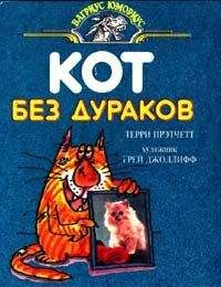 Terry Pratchett - Кот без дураков (пер. Е.Ланчиков) - Читать 📖 Читать онлайн 👀 Читаемые книги читать онлайн бесплатно 🔥 booksread-online.com