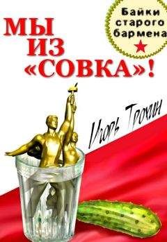 Игорь - Мы из «Совка»!!! Байки старого бармена. - Читать 📖 Читать онлайн 👀 Читаемые книги читать онлайн бесплатно 🔥 booksread-online.com