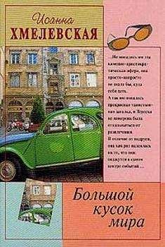 Иоанна Хмелевская - Большой кусок мира [Большой кусок света] - Читать 📖 Читать онлайн 👀 Читаемые книги читать онлайн бесплатно 🔥 booksread-online.com
