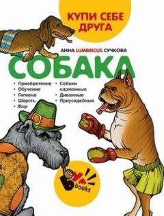 Анна Сучкова - Купи себе друга: собака - Читать 📖 Читать онлайн 👀 Читаемые книги читать онлайн бесплатно 🔥 booksread-online.com