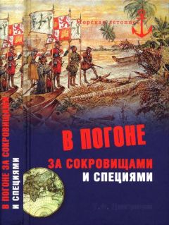 Тимур Дмитричев - В погоне за сокровищами и специями - Читать 📖 Читать онлайн 👀 Читаемые книги читать онлайн бесплатно 🔥 booksread-online.com