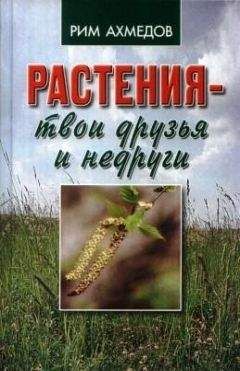 Рим Ахмедов - Растения – твои друзья и недруги - Читать 📖 Читать онлайн 👀 Читаемые книги читать онлайн бесплатно 🔥 booksread-online.com