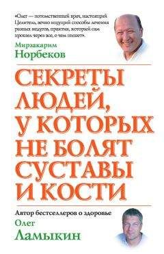 Олег Ламыкин - Секреты людей, у которых не болят суставы и кости - Читать | Читать онлайн | Читаемые книги читать онлайн бесплатно | booksread-online.com