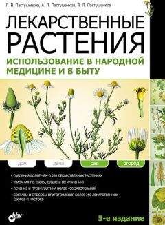Владимир Пастушенков - Лекарственные растения. Использование в народной медицине и в быту - Читать 📖 Читать онлайн 👀 Читаемые книги читать онлайн бесплатно 🔥 booksread-online.com