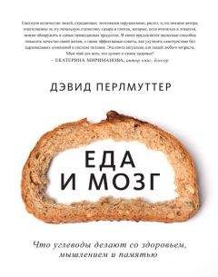 Кристин Лоберг - Еда и мозг. Что углеводы делают со здоровьем, мышлением и памятью - Читать | Читать онлайн | Читаемые книги читать онлайн бесплатно | booksread-online.com