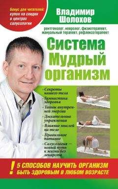 Владимир Шолохов - Система «Мудрый организм». 5 способов научить организм быть здоровым в любом возрасте - Читать 📖 Читать онлайн 👀 Читаемые книги читать онлайн бесплатно 🔥 booksread-online.com