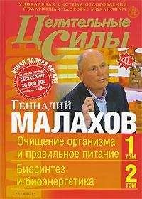 Геннадий Малахов - Целительные силы. Книга 1. Очищение организма и правильное питание. Биосинтез и биоэнергетика - Читать 📖 Читать онлайн 👀 Читаемые книги читать онлайн бесплатно 🔥 booksread-online.com