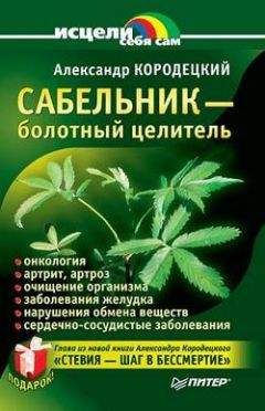 Александр Кородецкий - Сабельник - болотный целитель - Читать 📖 Читать онлайн 👀 Читаемые книги читать онлайн бесплатно 🔥 booksread-online.com