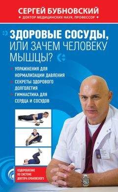 Сергей Бубновский - Здоровые сосуды, или Зачем человеку мышцы? - Читать 📖 Читать онлайн 👀 Читаемые книги читать онлайн бесплатно 🔥 booksread-online.com