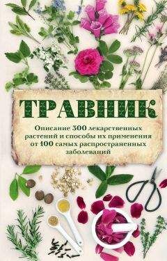 А. Подоляк - Травник. Описание 300 лекарственных растений и способы их применения от 100 самых распространенных заболеваний - Читать 📖 Читать онлайн 👀 Читаемые книги читать онлайн бесплатно 🔥 booksread-online.com