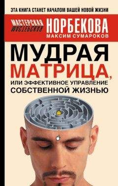 Максим Сумароков - Мудрая матрица, или Эффективное управление собственной жизнью - Читать 📖 Читать онлайн 👀 Читаемые книги читать онлайн бесплатно 🔥 booksread-online.com